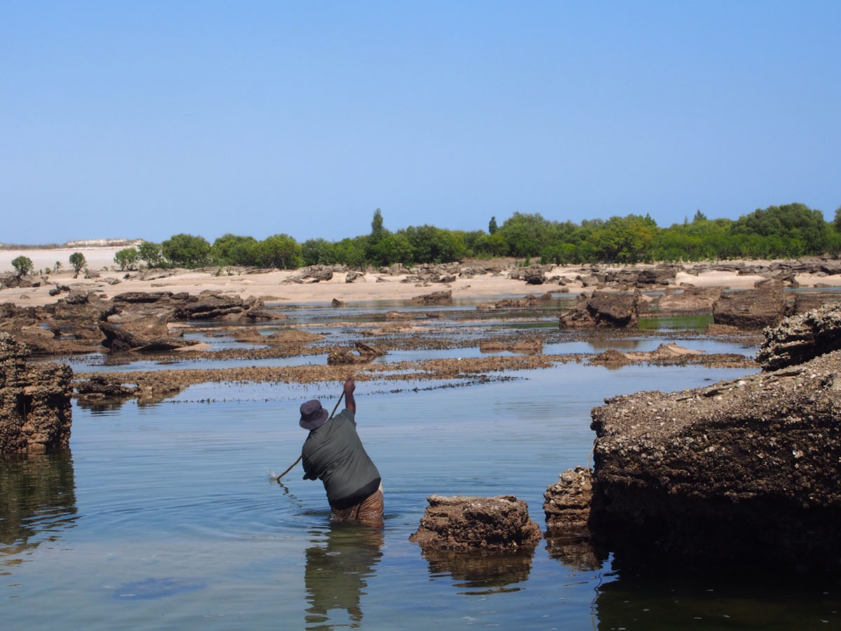 Traditional Fishing